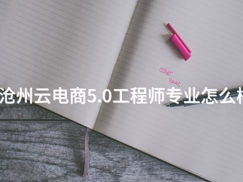 沧州云电商5.0工程师专业怎么样