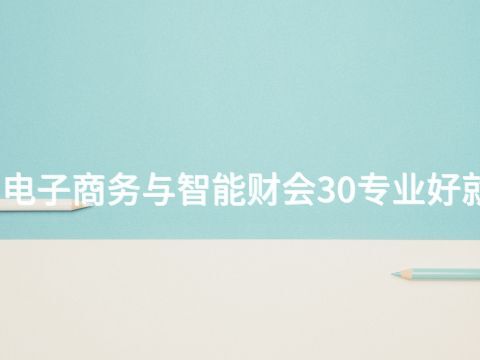 洛阳电子商务与智能财会30专业好就业吗