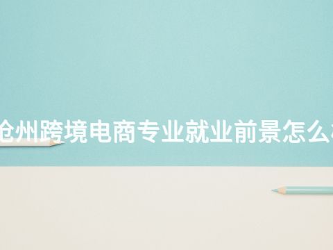 沧州跨境电商专业就业前景怎么样
