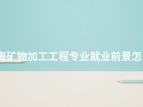 威海矿物加工工程专业就业前景怎么样