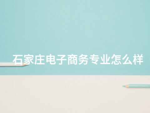 石家庄电子商务专业怎么样
