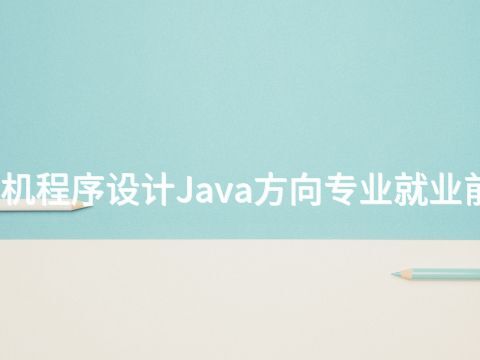潍坊计算机程序设计Java方向专业就业前景怎么样
