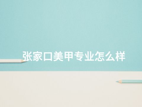 张家口美甲专业怎么样
