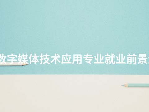滨州数字媒体技术应用专业就业前景怎么样
