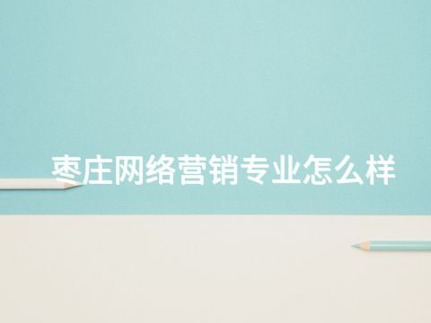 枣庄网络营销专业怎么样