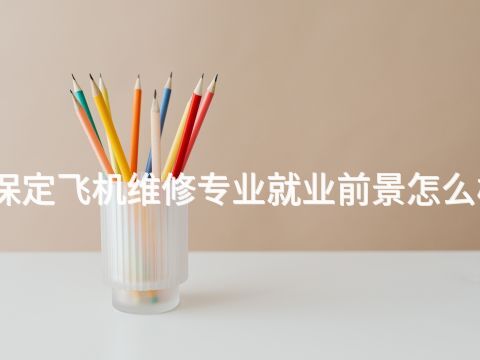 保定飞机维修专业就业前景怎么样