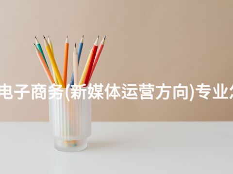 日照电子商务(新媒体运营方向)专业怎么样