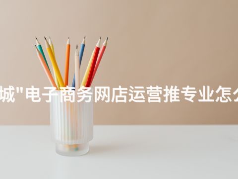 聊城"电子商务网店运营推专业怎么样