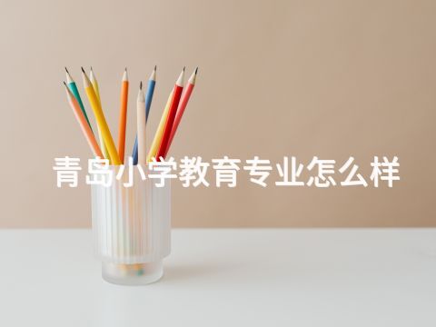 青岛小学教育专业怎么样