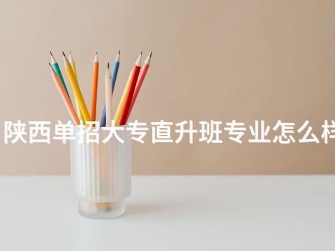 陕西单招大专直升班专业怎么样(图1) 陕西单招大专直升班专业怎么样(图1)