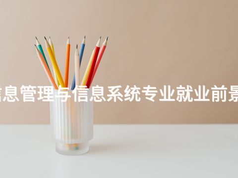 潍坊信息管理与信息系统专业就业前景怎么样