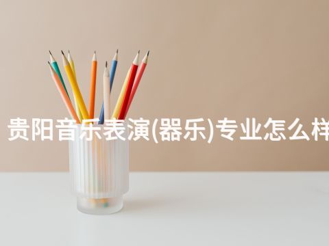 贵阳音乐表演(器乐)专业怎么样