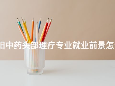 綿陽(yáng)中藥頭部理療專業(yè)就業(yè)前景怎么樣