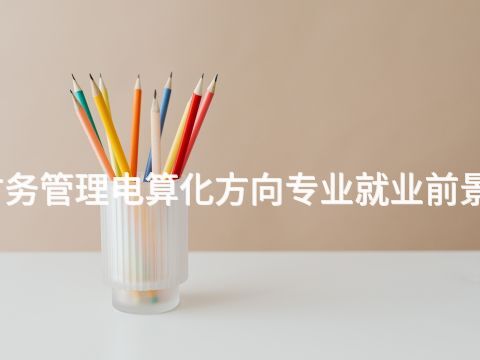 聊城财务管理电算化方向专业就业前景怎么样