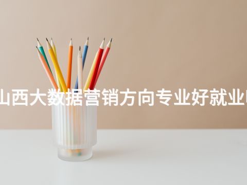 山西大数据营销方向专业好就业吗