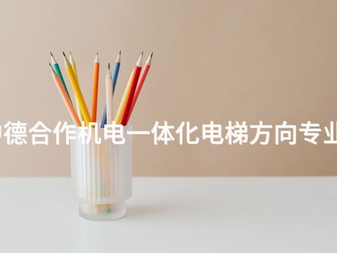 聊城中德合作机电一体化电梯方向专业怎么样