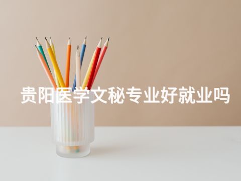 贵阳医学文秘专业好就业吗