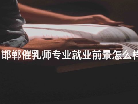 邯郸催乳师专业就业前景怎么样(图1) 邯郸催乳师专业就业前景怎么样(图1)