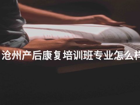 沧州产后康复培训班专业怎么样(图1) 沧州产后康复培训班专业怎么样(图1)