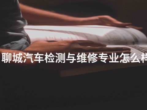 聊城汽车检测与维修专业怎么样