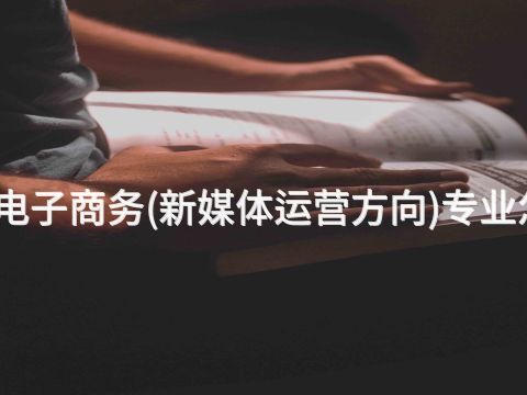 山东电子商务(新媒体运营方向)专业怎么样(图1)