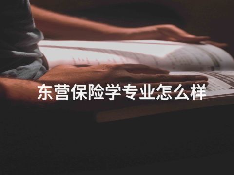 东营保险学专业怎么样