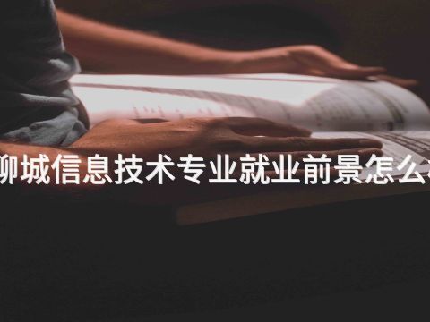 聊城信息技术专业就业前景怎么样