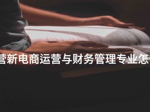 东营新电商运营与财务管理专业怎么样