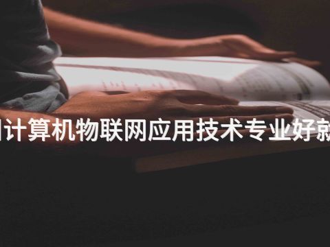 德州计算机物联网应用技术专业好就业吗