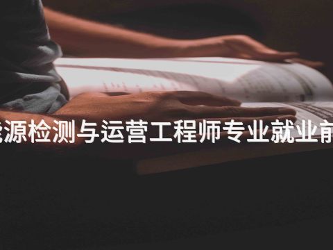 贵阳新能源检测与运营工程师专业就业前景怎么样