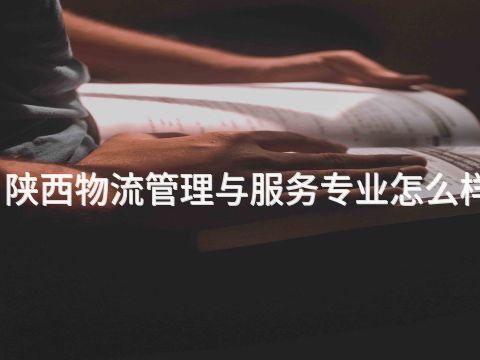 陕西物流管理与服务专业怎么样