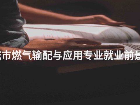 烟台城市燃气输配与应用专业就业前景怎么样