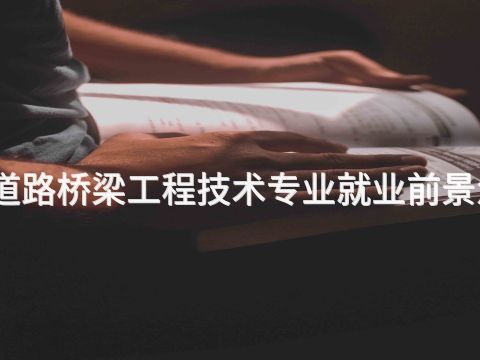 山东道路桥梁工程技术专业就业前景怎么样