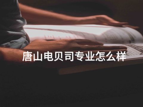 唐山电贝司专业怎么样