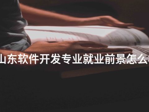山东软件开发专业就业前景怎么样(图1) 山东软件开发专业就业前景怎么样(图1)