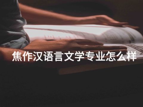 焦作汉语言文学专业怎么样(图1) 焦作汉语言文学专业怎么样(图1)