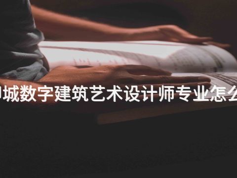 聊城数字建筑艺术设计师专业怎么样