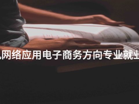 淄博计算机网络应用电子商务方向专业就业前景怎么样
