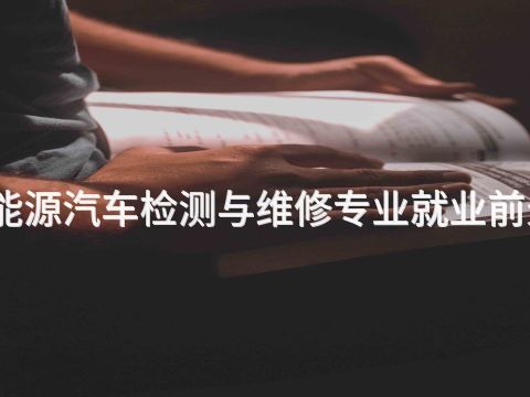 青岛新能源汽车检测与维修专业就业前景怎么样(图1)