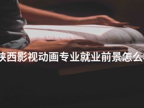 陕西影视动画专业就业前景怎么样