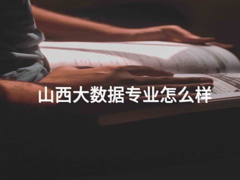 山西大数据专业怎么样