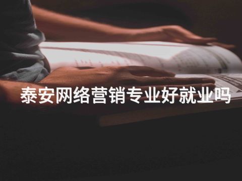 泰安網絡營銷專業好就業嗎