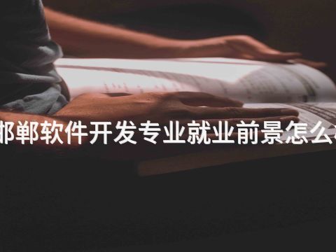 邯郸软件开发专业就业前景怎么样(图1) 邯郸软件开发专业就业前景怎么样(图1)