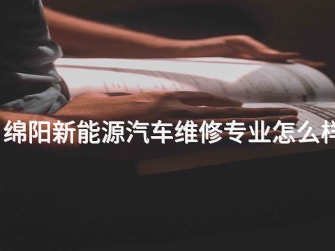 綿陽新能源汽車維修專業怎么樣