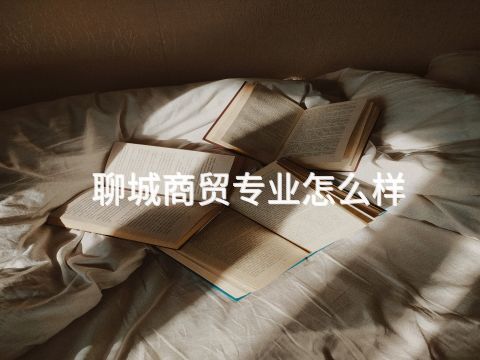 聊城商贸专业怎么样
