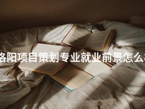 洛阳项目策划专业就业前景怎么样