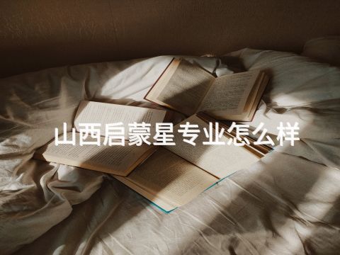 山西启蒙星专业怎么样