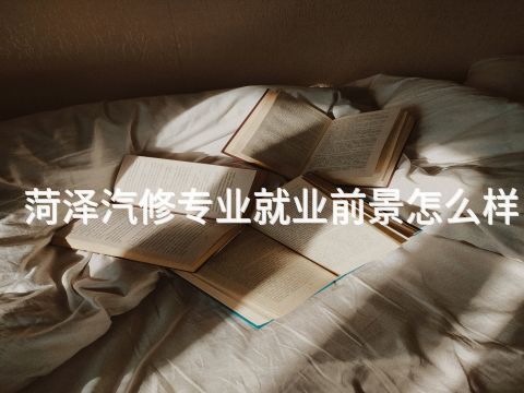 菏泽汽修专业就业前景怎么样(图1) 菏泽汽修专业就业前景怎么样(图1)