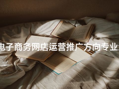 泰安电子商务网店运营推广方向专业怎么样