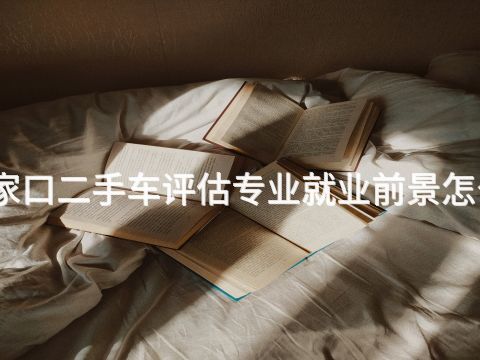 张家口二手车评估专业就业前景怎么样(图1)